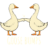 Goose Bumps Geese Saying
