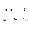 Chicken with heart