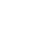 70th Birthday king