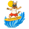 Surfing German Shepherd Dog