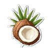 Coconut