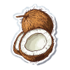 Coconut