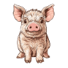Pig Piglet
