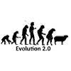 Human evolution in silhouette