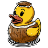 Cute duck in a coconut