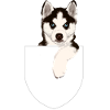 Husky in pocket design - pocket dog