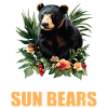 Sun Bear Malay Bear