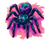 Tarantulas Tarantula