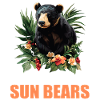 Sun Bear Malay Bear