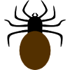Minimalist Spider Design