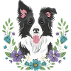 Border Collie Blumenfeier
