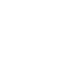 Racing flag icon