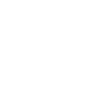 Racing Flag Race Icon