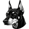 Elegant Black and White Husky Illustration