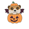 Meerkat Happy Halloween Pumpkin Bat