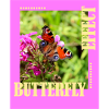 Butterfly Effect Photo Design