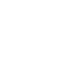 White tribal bird