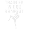 Martial Arts Motif Design