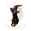 Halloween Katzen mit Hexenhut