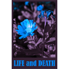 Floral motif with wisdom