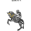 ride_zebra