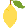 Modern Lemon Citrus Pattern Design