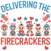  Labor & Delivery Firecrackers Independence Day