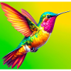 hummingbird