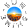 Sunset on the beach illustration