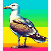 gull