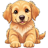 Golden Retriever Welpe 2