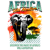 Safari nature aventure éléphant d'Afrique