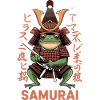 Illustration de guerrier grenouille samouraï avec