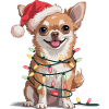Festive Chihuahua with fairy lights