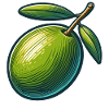 Illustration of a stylized green olive