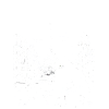 French Girl Trip Design