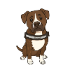 Sad Dog Portrait with Collar