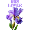 Lila Irisblume Botanisches Design