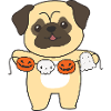 Pug Happy Halloween Dog Costume