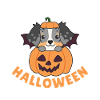 Australian Shepherd Happy Halloween Pumpkin