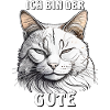 CHAT JE SUIS LE BON GARS