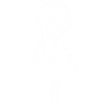 White Dreamcatcher