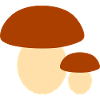 Minimalist Mushroom Illustration