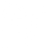 Crâne de chat blanc