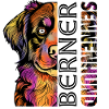 Colourful Bernese Mountain Dog