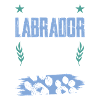 Papa chien labrador