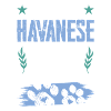Havanese dog dad