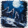Wolf group under full moon