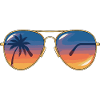 Sunglasses Sunset Palm 