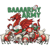 Dragon Rugby Fan Army 